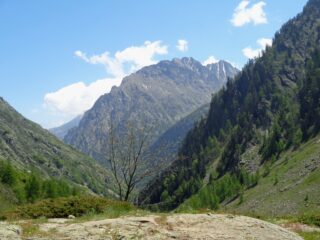Monte Matto