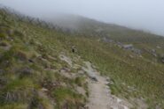 Ai paravalanghe. Pare un campo di concentramento ....