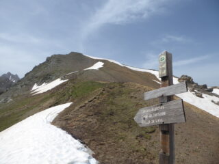 Testa del Fra dal colle di Panieris