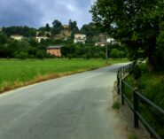 Passaggi su asfalto