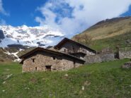L'Alpe Toigne/Ansermin. Sulla destra in alto il M.te Rotondo.