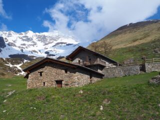 L'Alpe Toigne/Ansermin. Sulla destra in alto il M.te Rotondo.