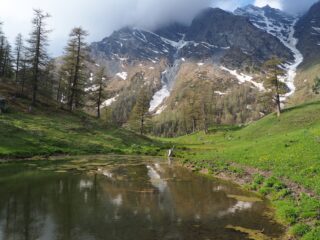 Nei pressi dell'Alpe Torrette.