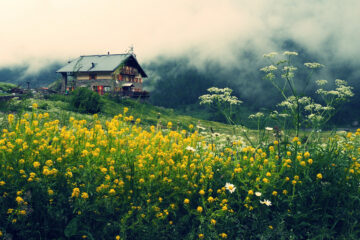 Il Rifugio Jervis tra i fiori estivi