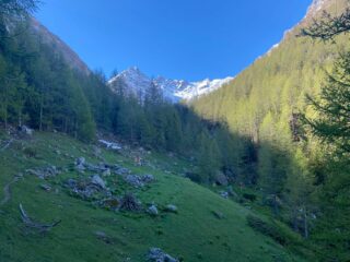 la valle inizia ad aprirsi
