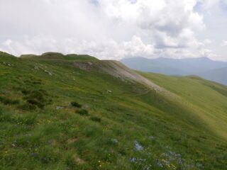 Dal Forte Giaure traccia verso Sud