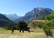 Siamo fuori dal tunnel...l...l...