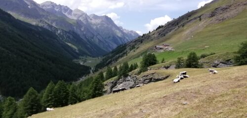 Rifugio Alpe Plane