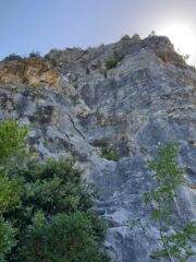 Il 5c del settore basso