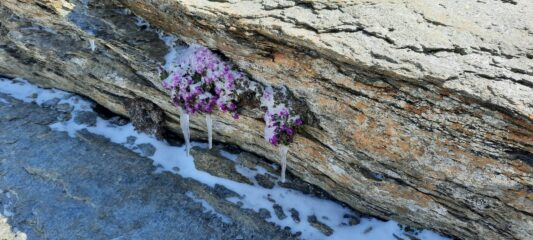 scherzi .......del freddo, in cima