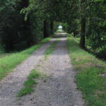 Ormai sul Sesia: l’argine visto verso valle