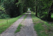 Ormai sul Sesia: l’argine visto verso valle