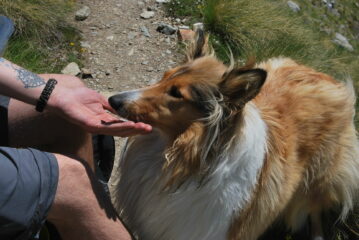 Un break in salita per Ivy