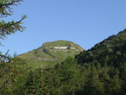 Monte Grai da Colla melosa