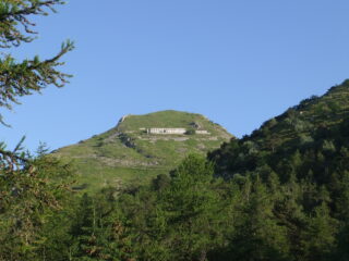 Monte Grai da Colla melosa