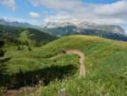 Divertente single track sopra il Campolongo