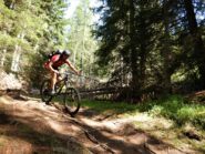 Giorgio sul bellissimo sentiero nel bosco su Arabba