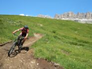 Sul single track del Pordoi