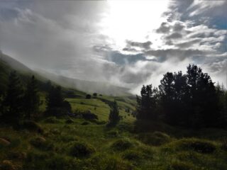 Un pò di luce in salita