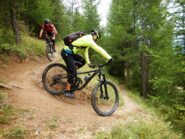 Il bellissimo sentiero nel bosco sopra Soulieres