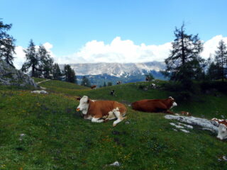zona rifugio Gardenacia