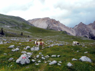 in risalita verso il Ju de Sant Antone