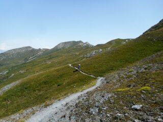 sentiero stretto ma in gran parte ciclabile