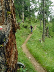 nel magico bosco sopra Soulieres