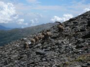 Foto di gruppo al colle Longia
