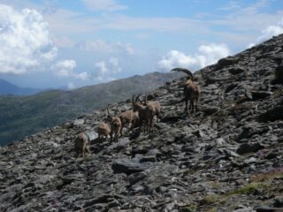 Foto di gruppo al colle Longia