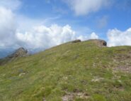 Cresta erbosa e L'Aran 