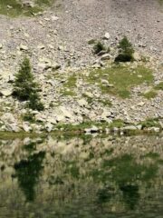 Riflessi sul lago Inferiore