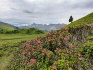 Le montagne fransesi