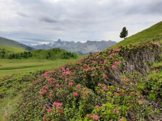Le montagne fransesi