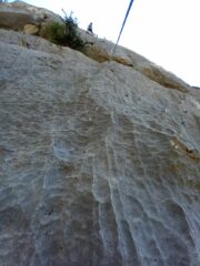 Roby su placca lavorata