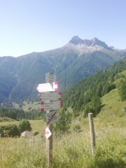 stupendo Pelvo d'Elva