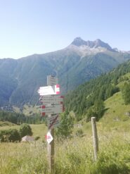 stupendo Pelvo d'Elva