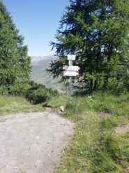al colle