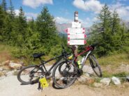 Al colle