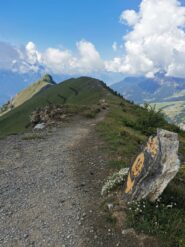 La cresta verso cima Longhede dal colletto