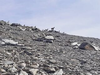 Compagnia al passo di Ciabrera