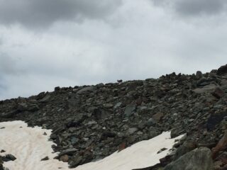 inquilini al colle Croce