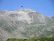 la cima