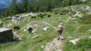 Rientro all'alpe Viou
