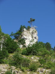 Pinnacolo roccioso