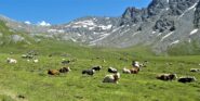 ''Las pasturas del cielo''
