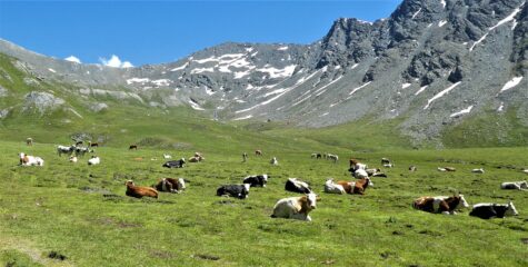 ''Las pasturas del cielo''