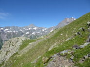 si sale con Bessanese e Ciamarella alle spalle