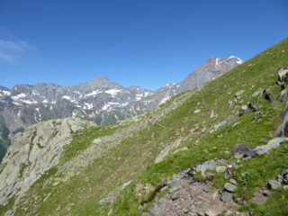 si sale con Bessanese e Ciamarella alle spalle