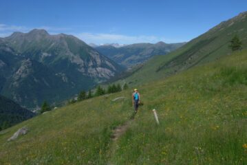 Usciti dal bosco la vista si allarga
